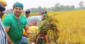 কৃষককে দুশ্চিন্তামুক্ত করলেন যুবলীগ নেতাকর্মীরা ধান কেটে
