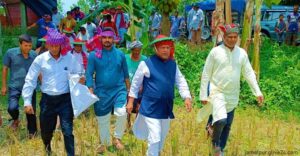 অসহায় কৃষকের ধান কেটে দিলেন এমপি জামালপুরে
