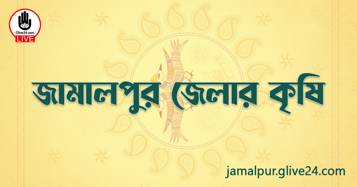 জামালপুর জেলার কৃষি